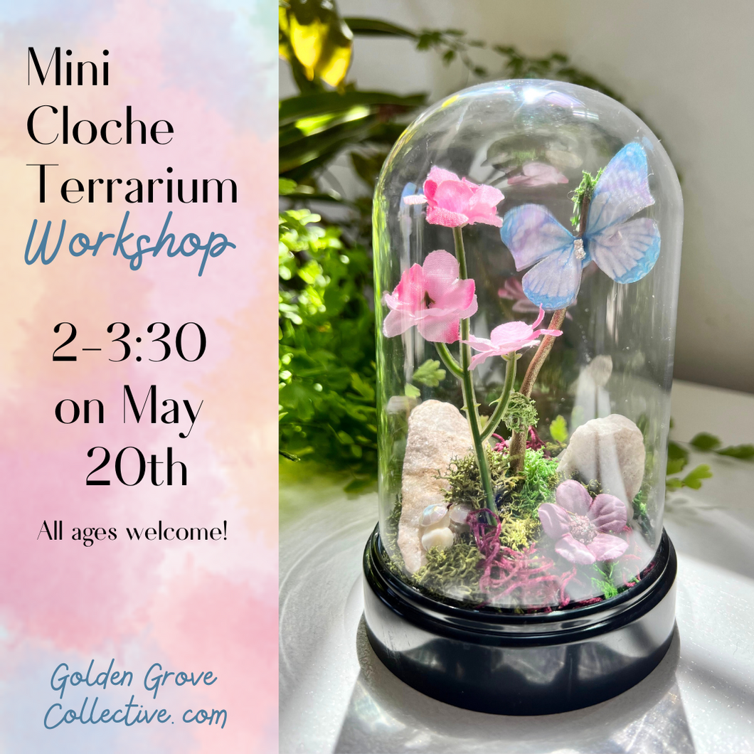 Mini Cloche Terrarium Workshop