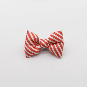 Candy Stripe Mini Bow Tie