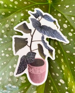 Elephant Ear Begonia Sticker