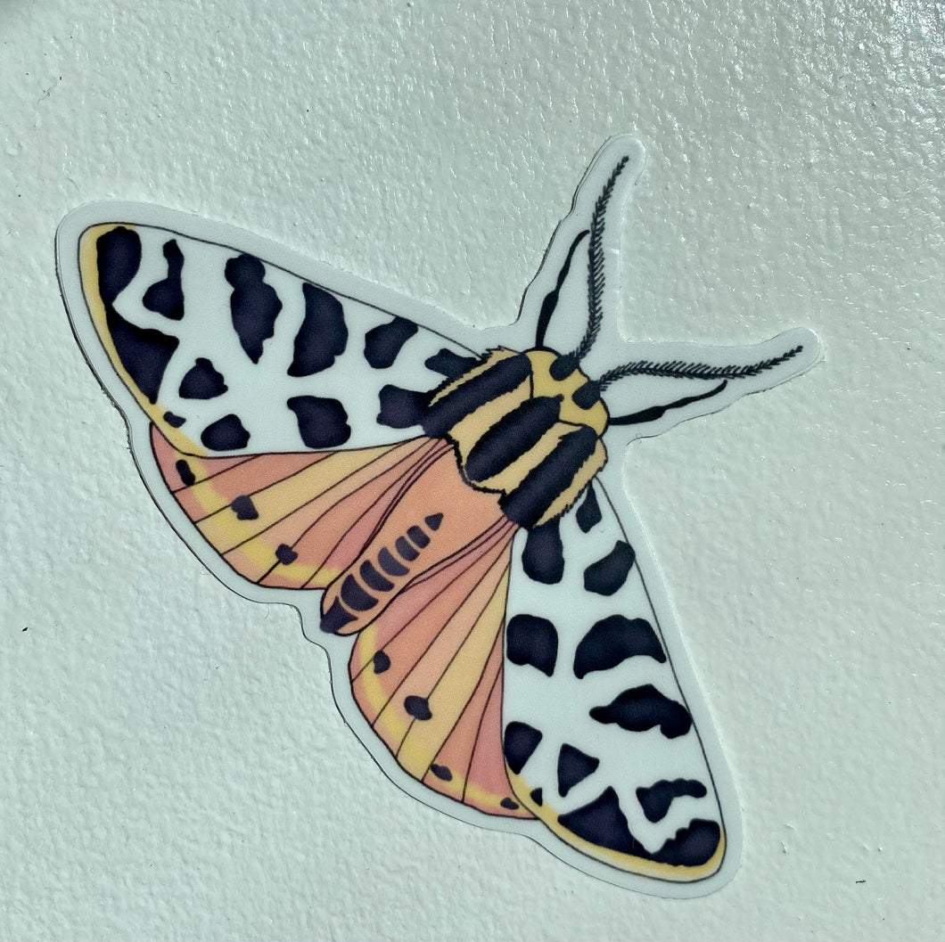 Spotted Moth Sticker