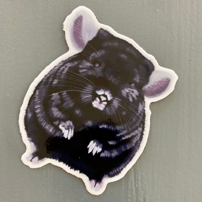 Chinchillin Sticker