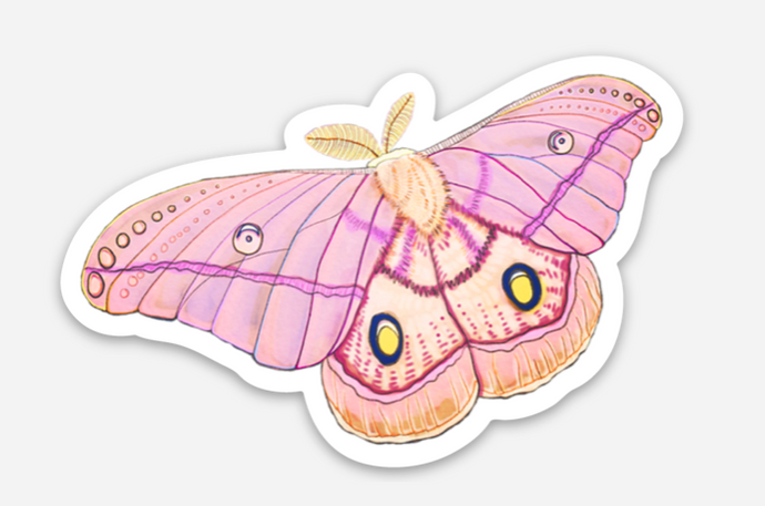 Emperor Moth Sticker