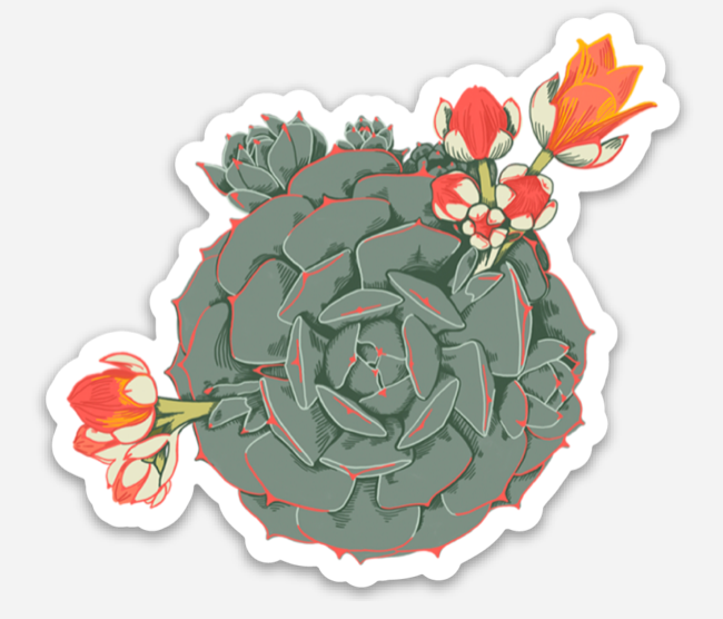 Echeveria Sticker