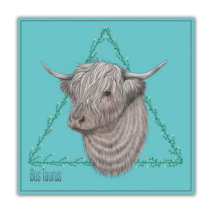 Bos Taurus 8x8 Print