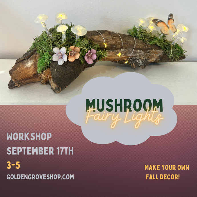 Mushroom Fairy Lights Workshop