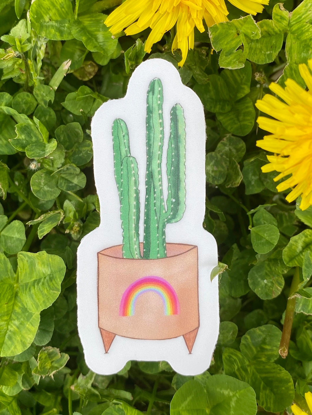 Rainbow Cactus Sticker